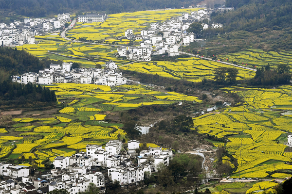 為什麼有些資本“笑著進去,哭著出來”?就是因為不懂這個規律 為什麼有些資本“笑著進去,哭著出來”?就是因為不懂這個規律