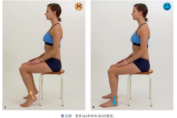 脊柱檢查與功能訓練，坐位姿勢的維持