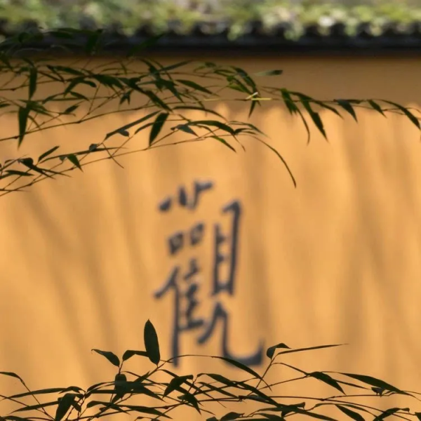 有人在背後說你壞話？這麼做才是智者的“手腕”