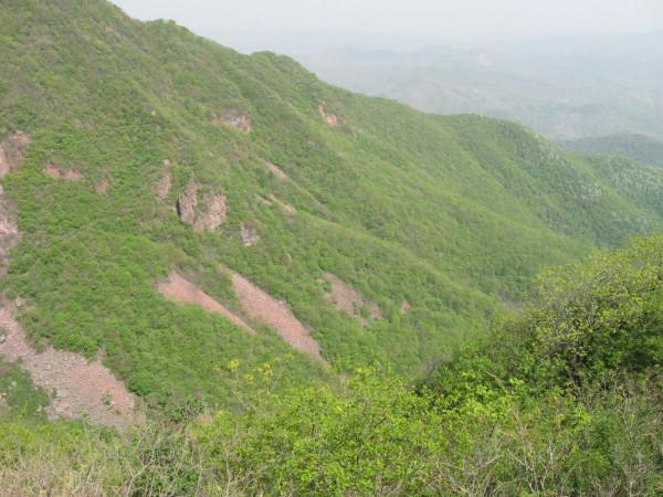 我的驢行日記——鳩山老王溝 我的驢行日記——鳩山老王溝
