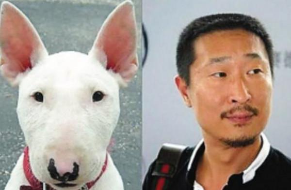 那些和動物撞臉的明星們 只有我們熱巴最可愛