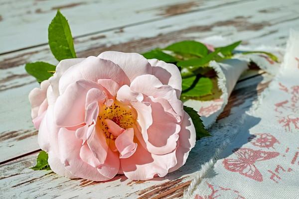 其實，越是厲害的人，越是“不合群”