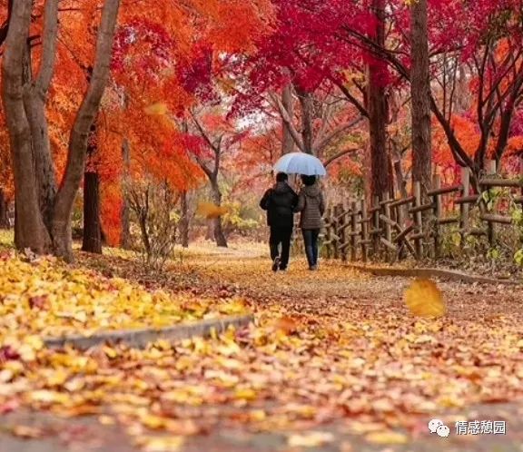 讀書筆記:(五) 讀書筆記:(五)