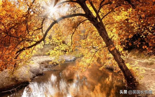 你還記得深秋英國的樣子嗎?若你還在,與你共享 你還記得深秋英國的樣子嗎?若你還在,與你共享