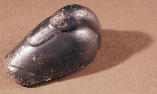 鴨子，身披落霞飛到尋常百姓家