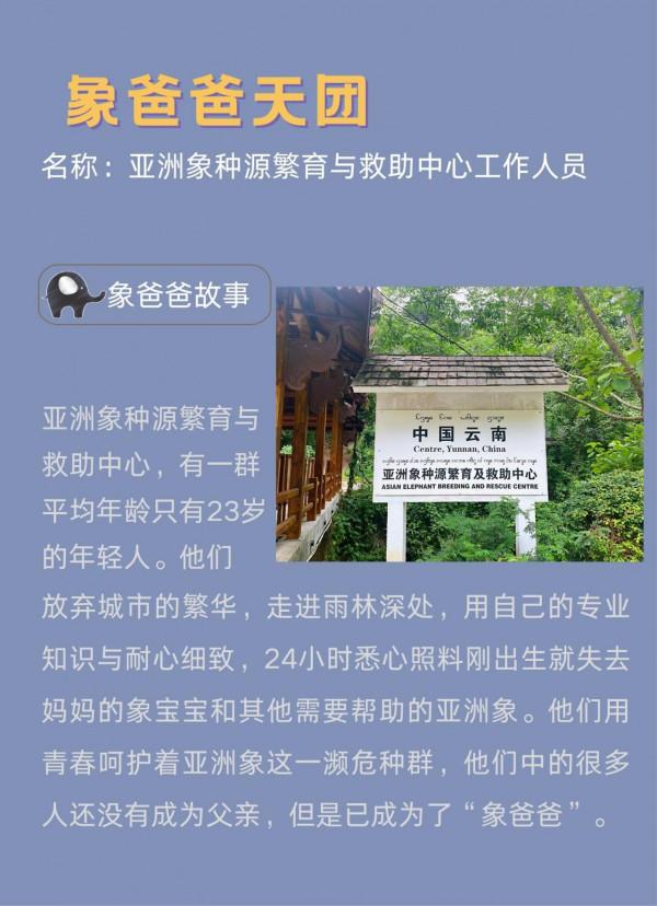 給“象”樣的爸爸,來個“象”樣的行動 給“象”樣的爸爸,來個“象”樣的行動