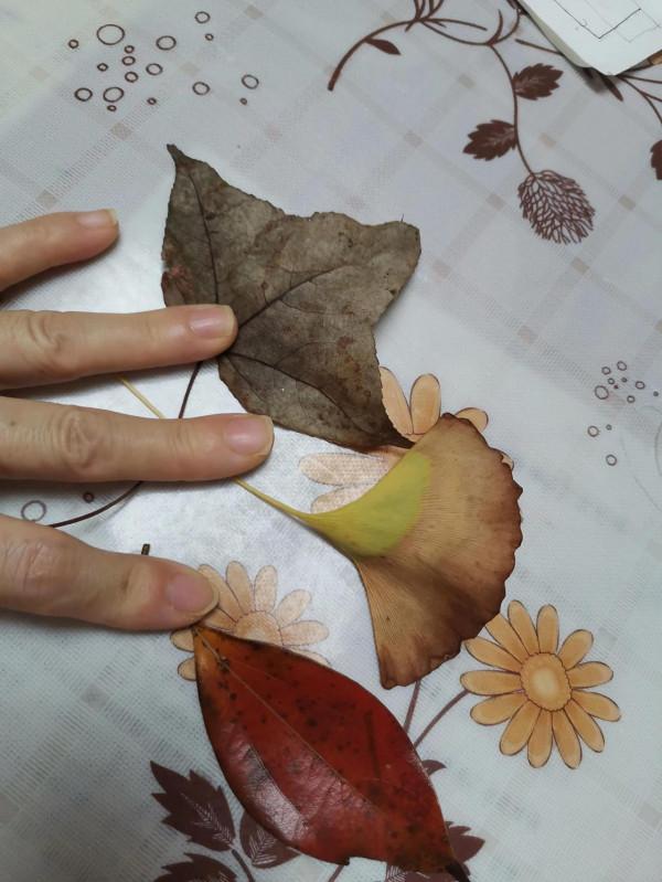 家門口的公園 家門口的公園