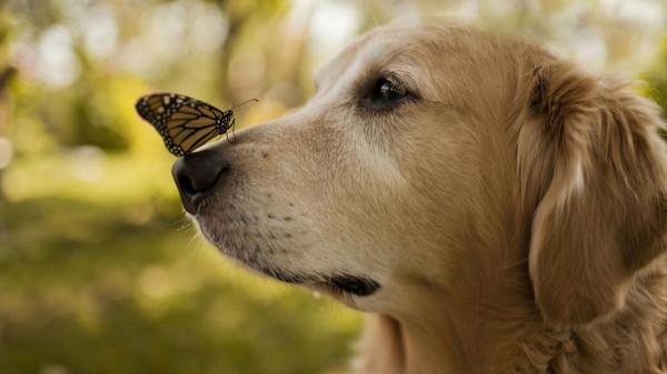 “天眼”遇到暴雨會裝滿嗎?如何排水?看完不得不說厲害了我的國 “天眼”遇到暴雨會裝滿嗎?如何排水?看完不得不說厲害了我的國