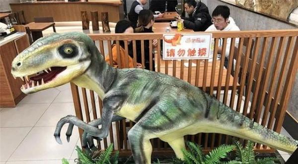 江蘇服務區，到底有多壕？果然，貧窮限制了我的想象力