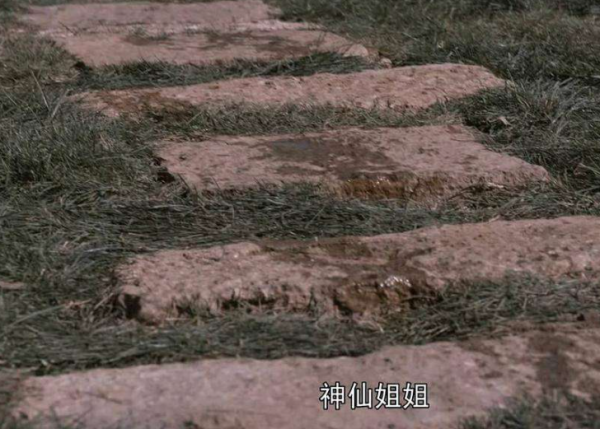 影視劇選角好離譜！41歲的張無忌，尿褲子的段譽，還有最醜周芷若