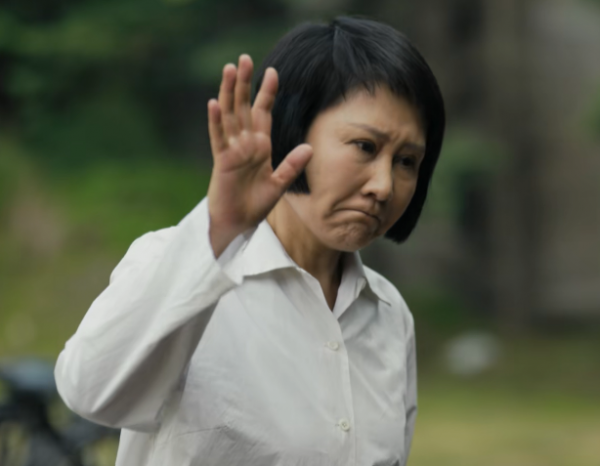 《人世間》還在爆，央視又一大劇定檔！王海燕主演，或成開年劇王
