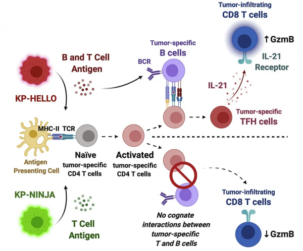 科技部已開發智慧工具監測學術論文，首個可自我繁殖的活體機器人問世丨一週科技導讀