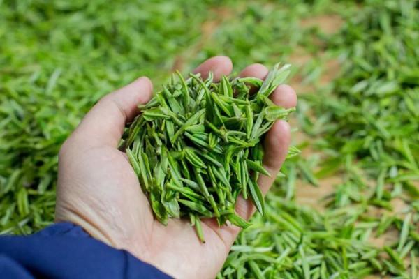 起源中國卻被偷學，今印度版被全球搶著買單，中國反倒年進口30億