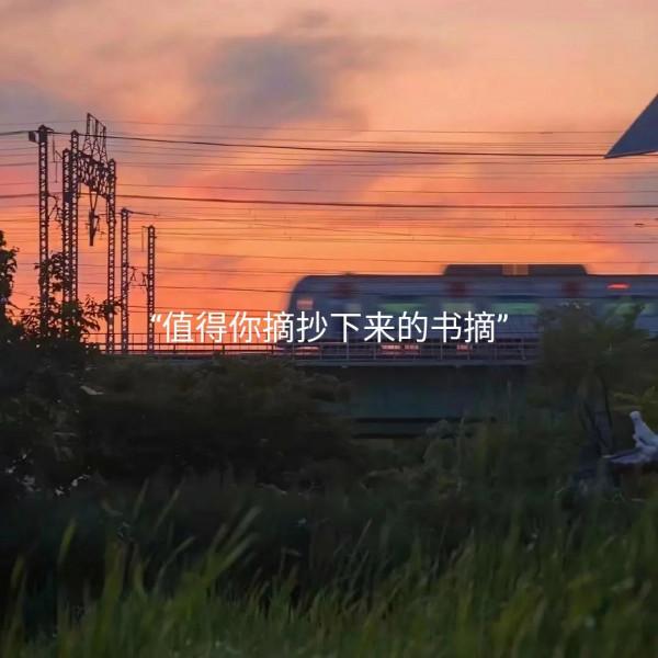 值得你摘抄下來的書摘