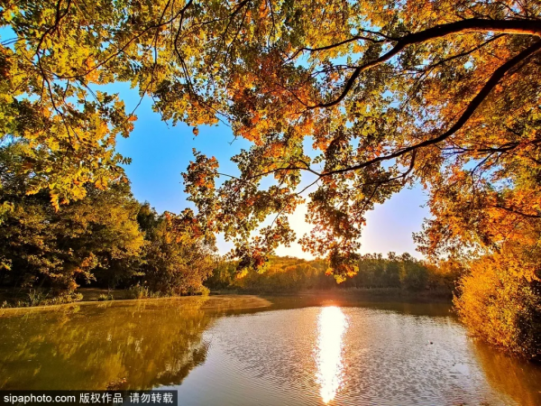 部分免費！北京賞秋“價效比”最高選擇都在這兒了！