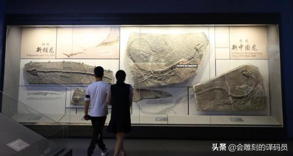 你吃過魚,但你見過“魚龍”嗎?就在我國貴州曾經就是魚龍的天堂 你吃過魚,但你見過“魚龍”嗎?就在我國貴州曾經就是魚龍的天堂