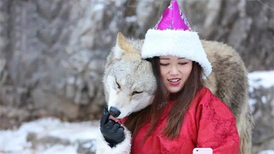 最怕狼的草原姑娘，意外發現降服野狼的妙招，從此多了一群狼朋友