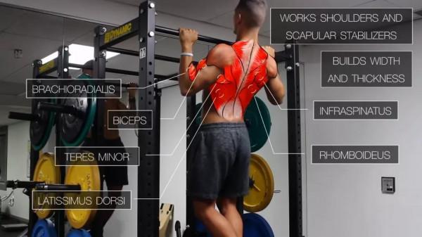 一套最全面高效的「上半身」訓練，胸背肩臂都能練到