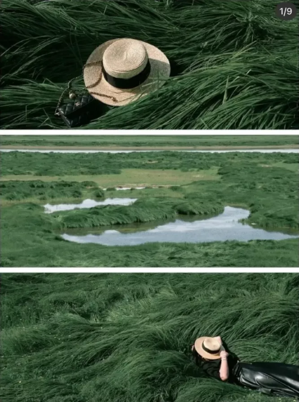 這些所謂的網紅打卡地方,請不要再自欺欺人了 這些所謂的網紅打卡地方,請不要再自欺欺人了