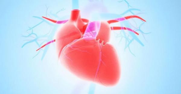 這幾個器官比你更怕冷!“防寒保暖法則”你值得擁有 這幾個器官比你更怕冷!“防寒保暖法則”你值得擁有