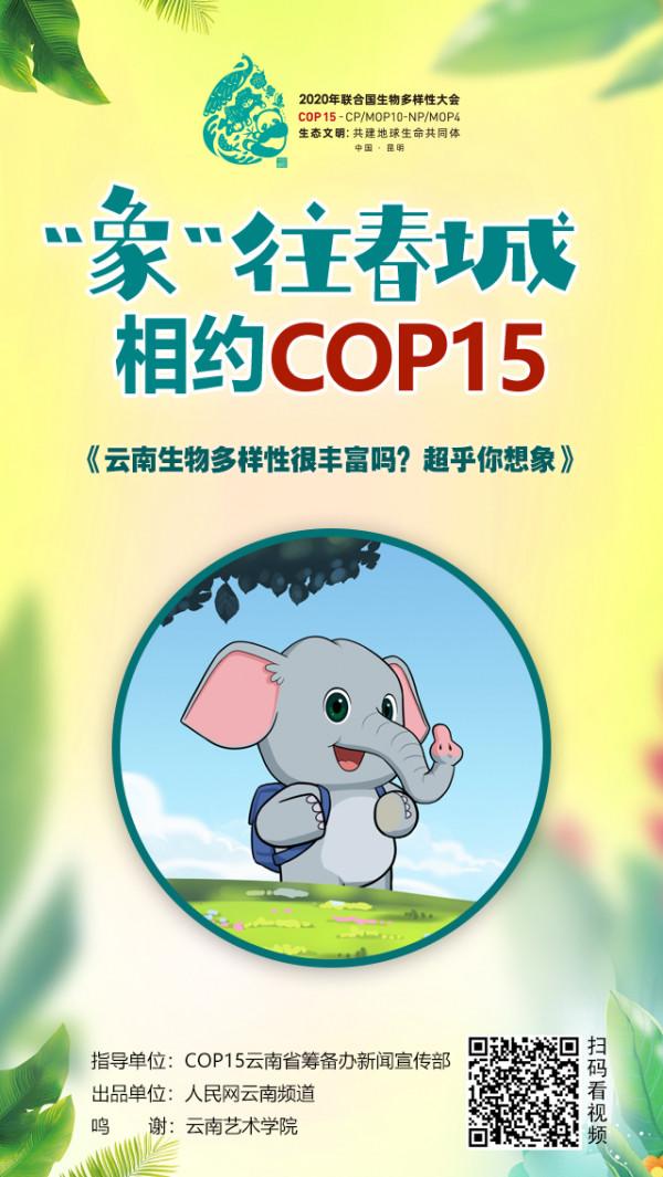 「“象”往春城 相約COP15」雲南生物多樣性很豐富嗎？超乎你想象