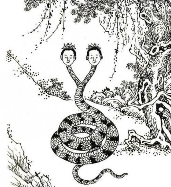 民間故事：男子打漁歸來，遞給妻子一條魚，阿婆：別接，那不是魚