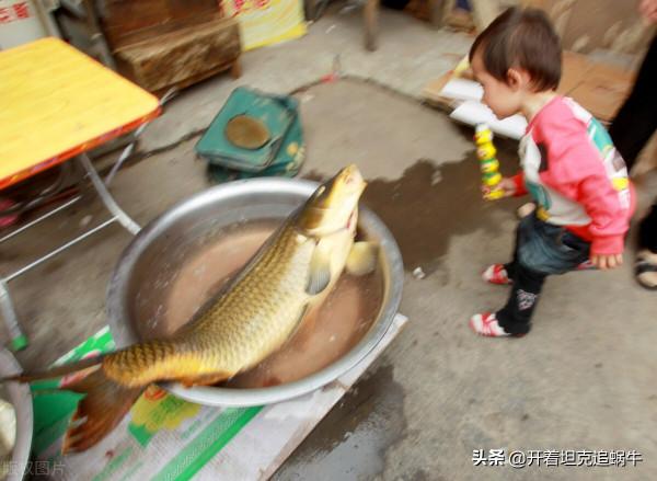 鄉村故事：南蠻子借劉姓之手燒了祠堂，毀掉了楊姓一族的興盛