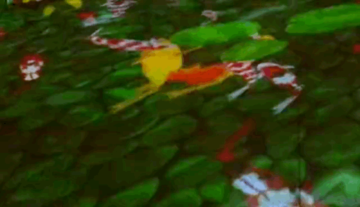 太湖,亮燈! 太湖,亮燈!