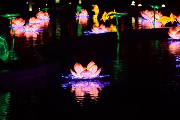 大唐芙蓉園這麼美的花燈，你確定不來嗎？