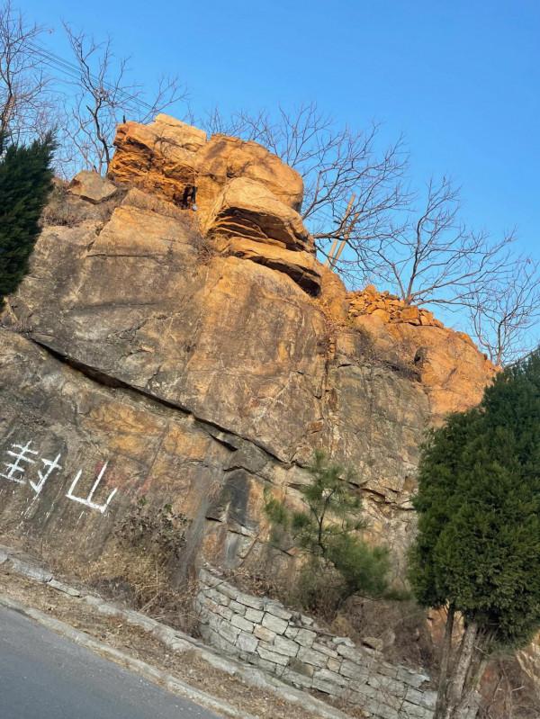 週末採摘葡萄 週末採摘葡萄