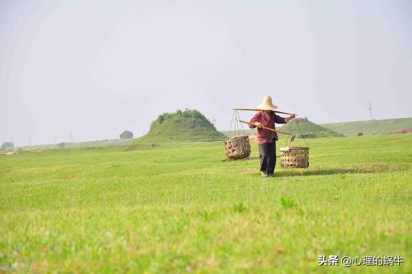大年初二，我在虛擬世界裡撿羊糞