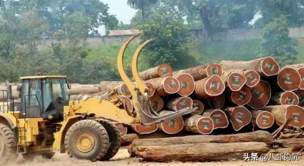 深扒：全球富豪是如何在美國藏錢的？