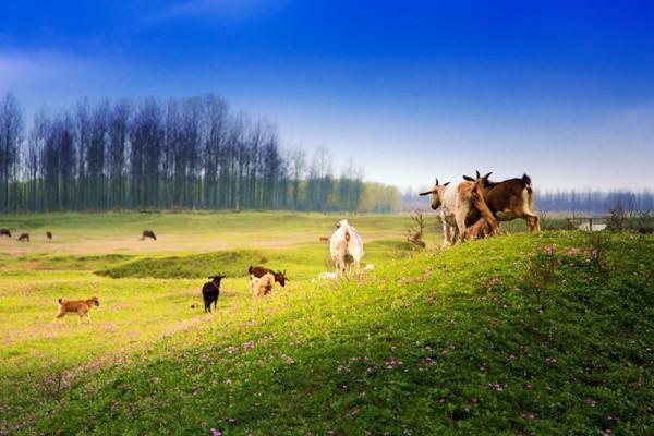 1950年,一個叫廖永和的奴隸找到解放軍,表明身份後驚動軍區領導 1950年,一個叫廖永和的奴隸找到解放軍,表明身份後驚動軍區領導