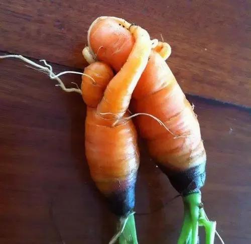 大自然真是無奇不有啊!快來看看畸形的果蔬吧 大自然真是無奇不有啊!快來看看畸形的果蔬吧