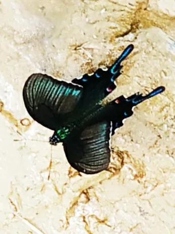 侃侃我垂釣的那些趣事 侃侃我垂釣的那些趣事