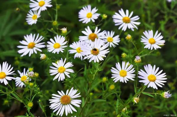 愛上閱讀 是一輩子的享受