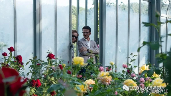 花友的假期影單推薦:這幾部園藝主題電影希望能治癒你的心 花友的假期影單推薦:這幾部園藝主題電影希望能治癒你的心