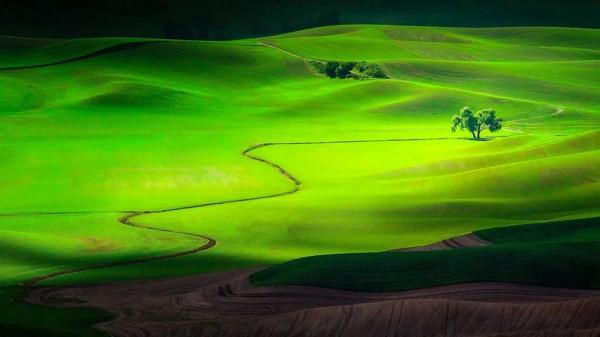 國內禁止外國人進入的7個景點,個個都美如畫,看完立刻想出發 國內禁止外國人進入的7個景點,個個都美如畫,看完立刻想出發