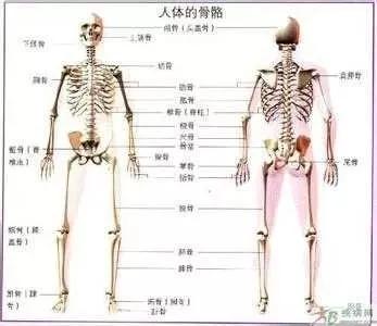 新手福利期，其實你從來沒搞明白過