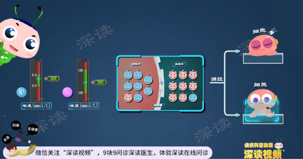 胳膊腿為啥沒力?躺著不動也心亂跳?動漫揭秘高鉀血癥致死全過程 胳膊腿為啥沒力?躺著不動也心亂跳?動漫揭秘高鉀血癥致死全過程