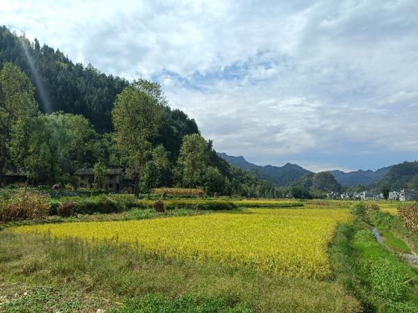 去看別人待膩煩的地方——旅遊 去看別人待膩煩的地方——旅遊