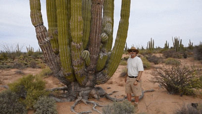手掌大的飛蛾、比汽車高的鹿，這些東西比你想象的要大很多