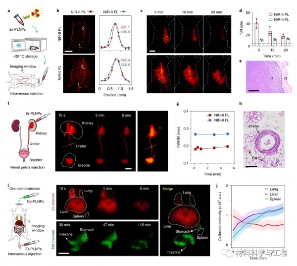 《自然·奈米技術》：用於NIR-II成像的X射線啟用長餘輝奈米材料