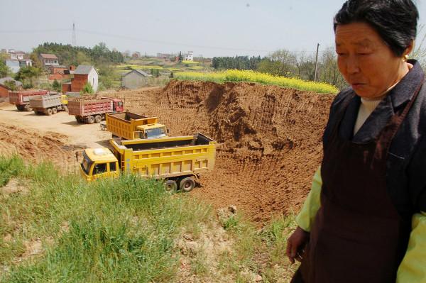 農村自留地是一種怎樣的存在？一文讓你看懂自留地的前世今生