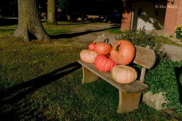 德國&quot;李子柒&quot;爆改農房過田園生活，連洗衣粉都自制