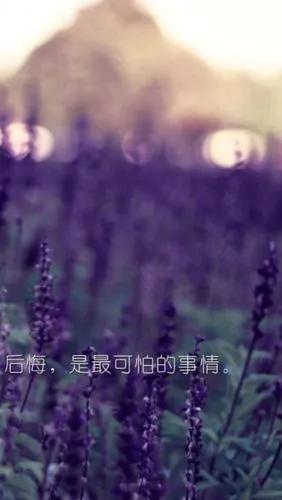 一個人心寒了會是什麼樣&hellip;&hellip;