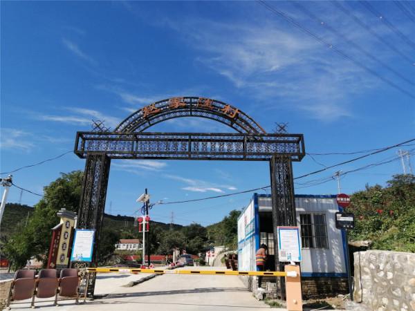 京西移民村見聞——村村都有一棵大槐樹