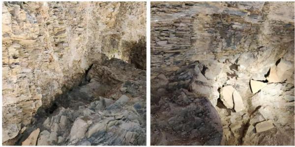 科學家證實:人類是從魚類進化來的,進化過程大概是這樣 科學家證實:人類是從魚類進化來的,進化過程大概是這樣