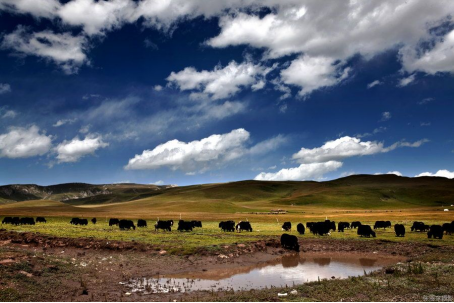 國慶去哪玩？看完這幾個地方，你就知道了（旅遊攻略）