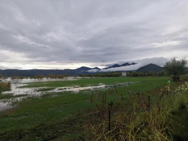 拍照勝地—拉市海湖濱公園（阿鄉哥）